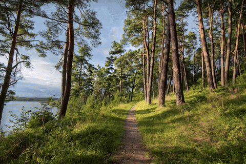 "effect_scene": "squish"